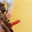 Handyman repair service in San Antonio, TX for home fixes and improvements