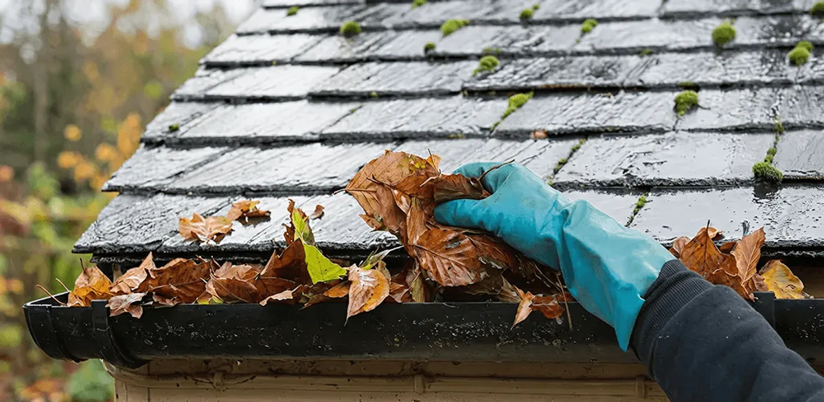 Gutter cleaning technician clearing wet leaves from roof gutters in San Antonio, TX