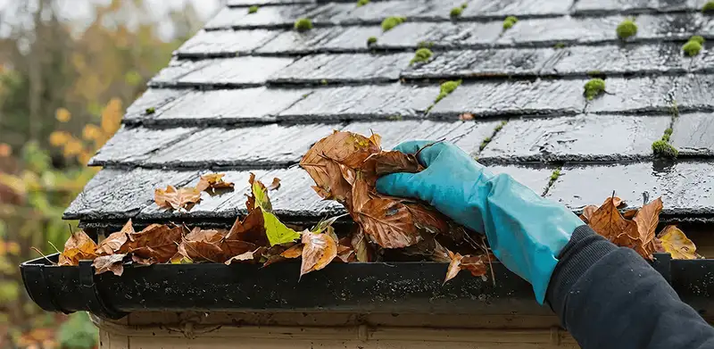 Gutter cleaning technician clearing wet leaves from roof gutters in San Antonio, TX